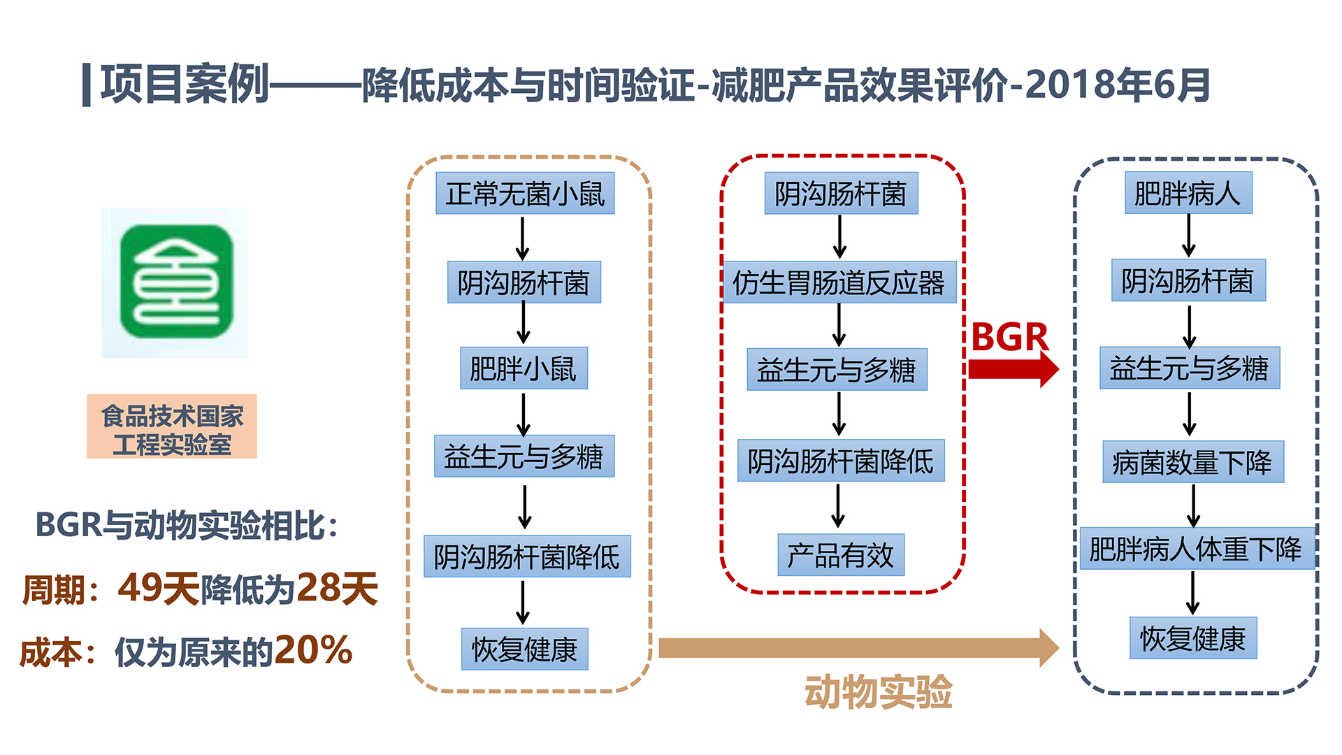 減肥產(chǎn)品實(shí)驗.jpg